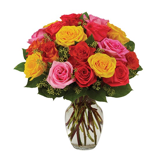 Assorted roses, bright (BF230-11KL)