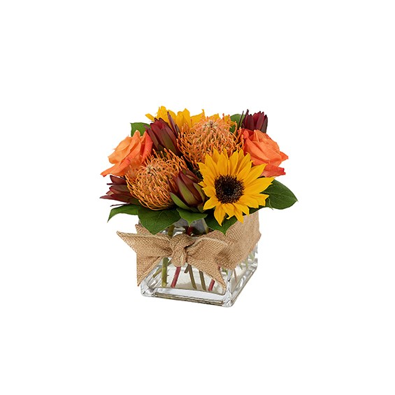 Nature&#39;s Bounty - Fall (BF349-11K)
