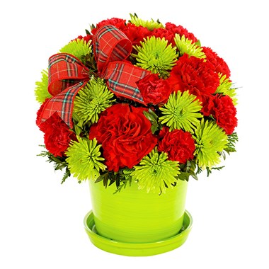 Holly Jolly Wishes flower bouquet (BF291-11KM)