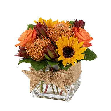 Nature&#39;s Bounty - Fall (BF349-11K)