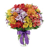 Peruvian Lily Rainbow Bouquet (BF187-11KM)