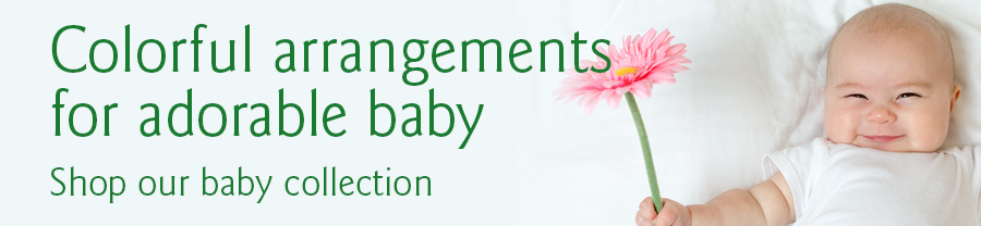 900x208-Baby-2023