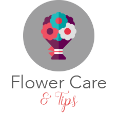 FlowerCare